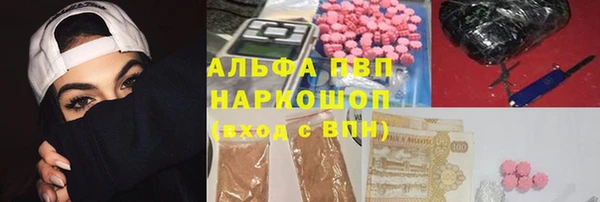 Альфа ПВП Белокуриха
