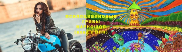 Альфа ПВП Белокуриха
